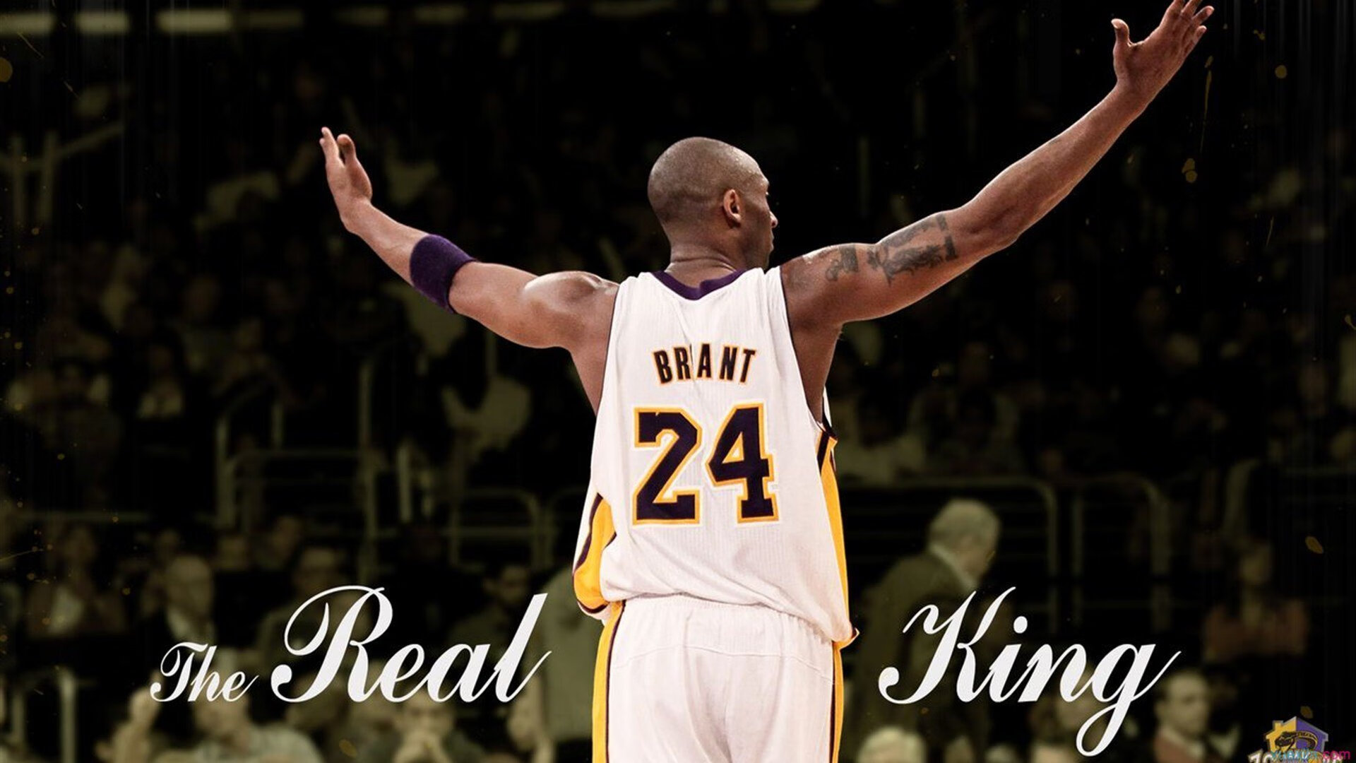 华体会官网-莎拉波娃回归赛场，回归赛场首场状态亮眼，曼联观众沸腾！